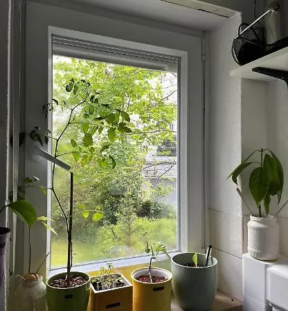 Schwabing Cute Apartament