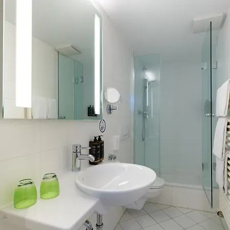 Mercure Altstadt Otel 3*