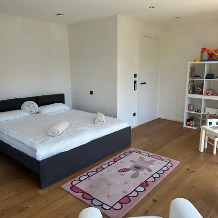Outstanding 9 Bedroom With Pool In Munich