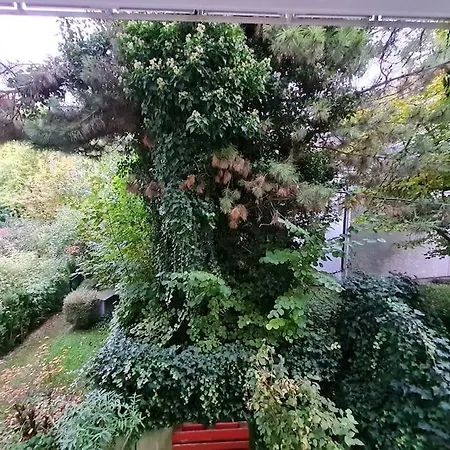 City-jungle Artcommodation Apartmán Mnichov