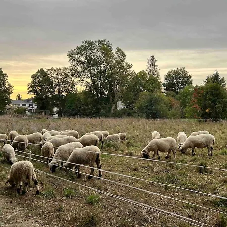Overnight In A Shepherd's Wagon Tiny House Munich