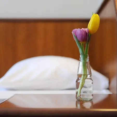 Hotel Ambassador Parkhotel Múnich