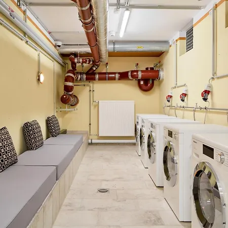 Schwan Locke Munich