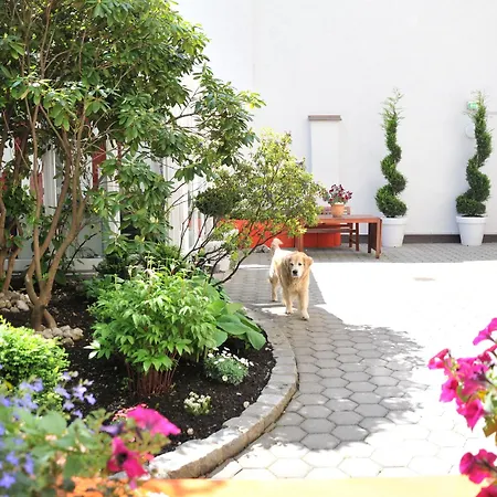 Arthotel Отель 3*