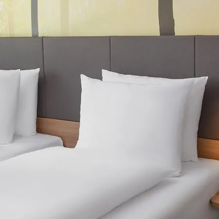 - Leuchtenbergring By Ihg 4* Munich