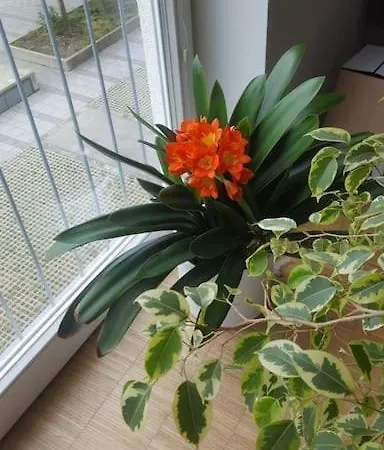 1 With 2rooms In Munich