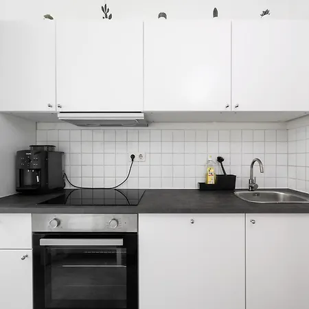 Apartment Grand Close To The Isar And Citycenter