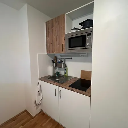 Studio Und Parkplatz Naehe Englischen Garten Daire *