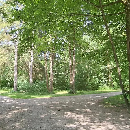 Amazing, Spacious In Excellent Location