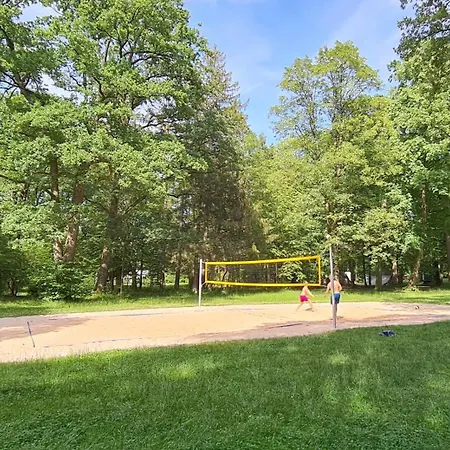 Amazing, Spacious In Excellent Location