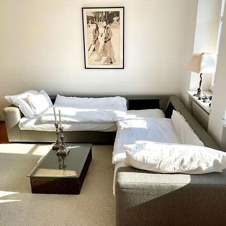 New Furnished, Exclusive Large Flat In Center, 30min To Airport