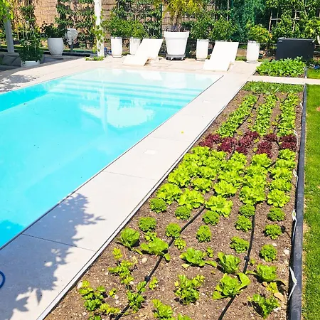 Luxurious Large With Pool, Garden, Koi Pond Apartment Munich