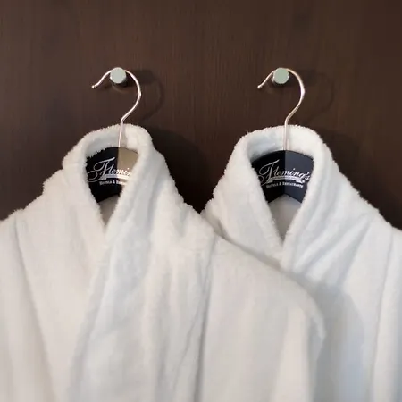 Flemings Muenchen-city Hotel Munich