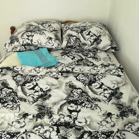 Homestay Private Zelinskij Munich