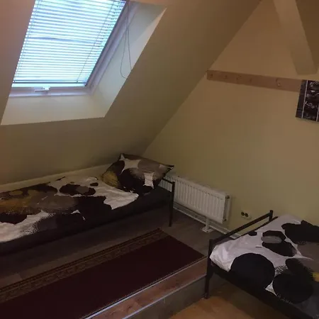Guest house Svetlana3 *
