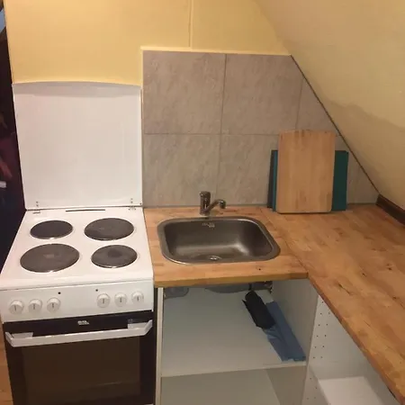 Guest house Svetlana3 *