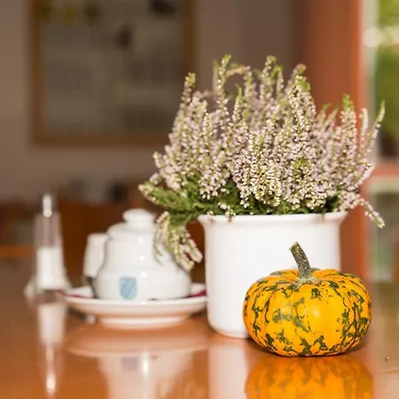 Gastehaus Olympia Reitanlage Munchen-riem Bed & Breakfast Munich