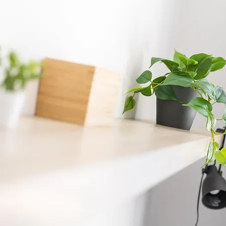 Wiesen Living - For Up To Twelve People Apartment Munich