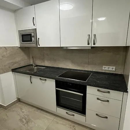Ein-schlafzimmer-apartment Mit Allen Einrichtungen In Einem Familienhaus - No Party