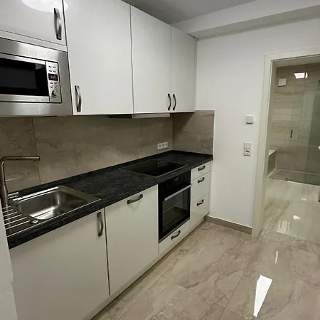 Ein-schlafzimmer-apartment Mit Allen Einrichtungen In Einem Familienhaus - No Party Munich