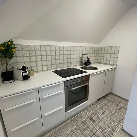 Apartment Serviced In Nymphenburg *