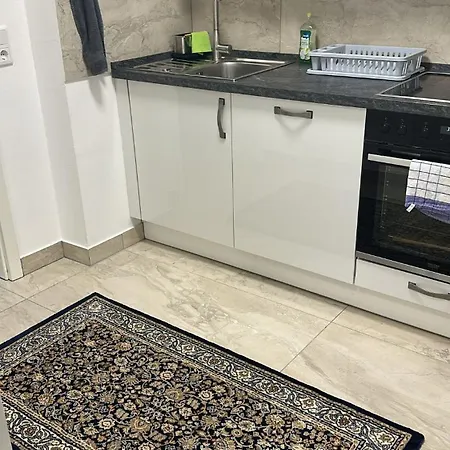 Ein-schlafzimmer-apartment Mit Allen Einrichtungen In Einem Familienhaus - No Party Munich