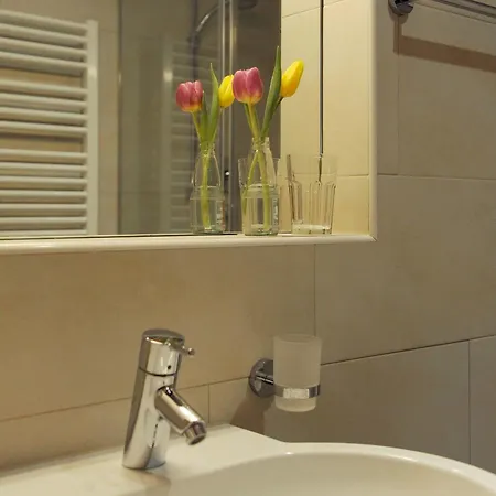 Ambassador Parkhotel 3* מינכן