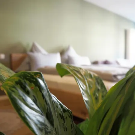 Altschwabing - Boutique Hotell München