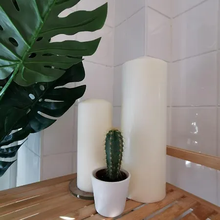 Elegant 2 Bd 아파트
