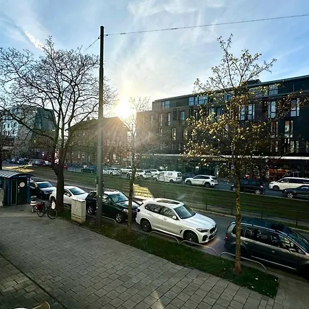 Beefree City Connect Metro Bus Shops Olympia *