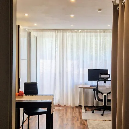 Apartment Large Cozy With Balcony And Kitchen At Pasing