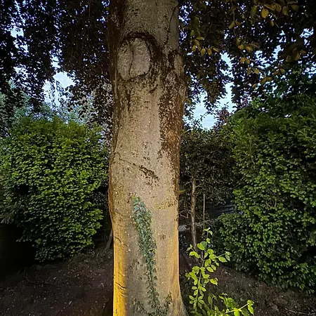 Stadtgarten Oase Apartmán *