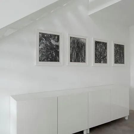 Quiet Meets Elegance In Munichs Center