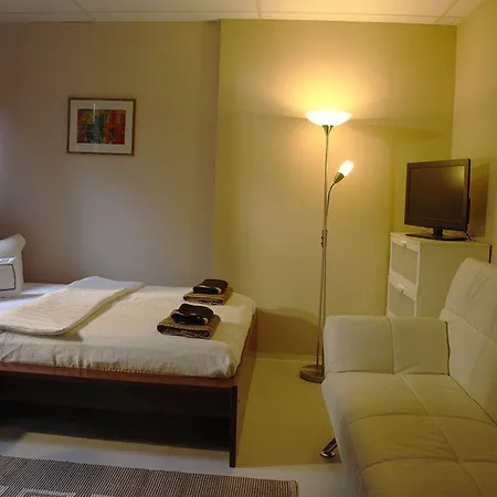 Guest house Garden House & East Park-apartments 2*